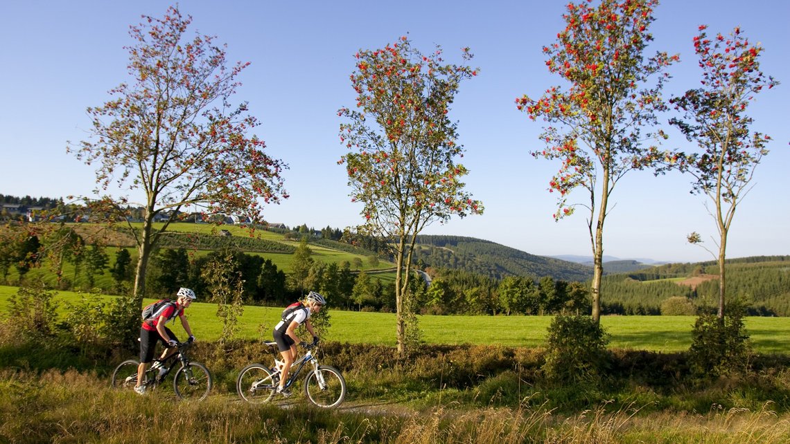 Mountainbike_Panorama_72dpi