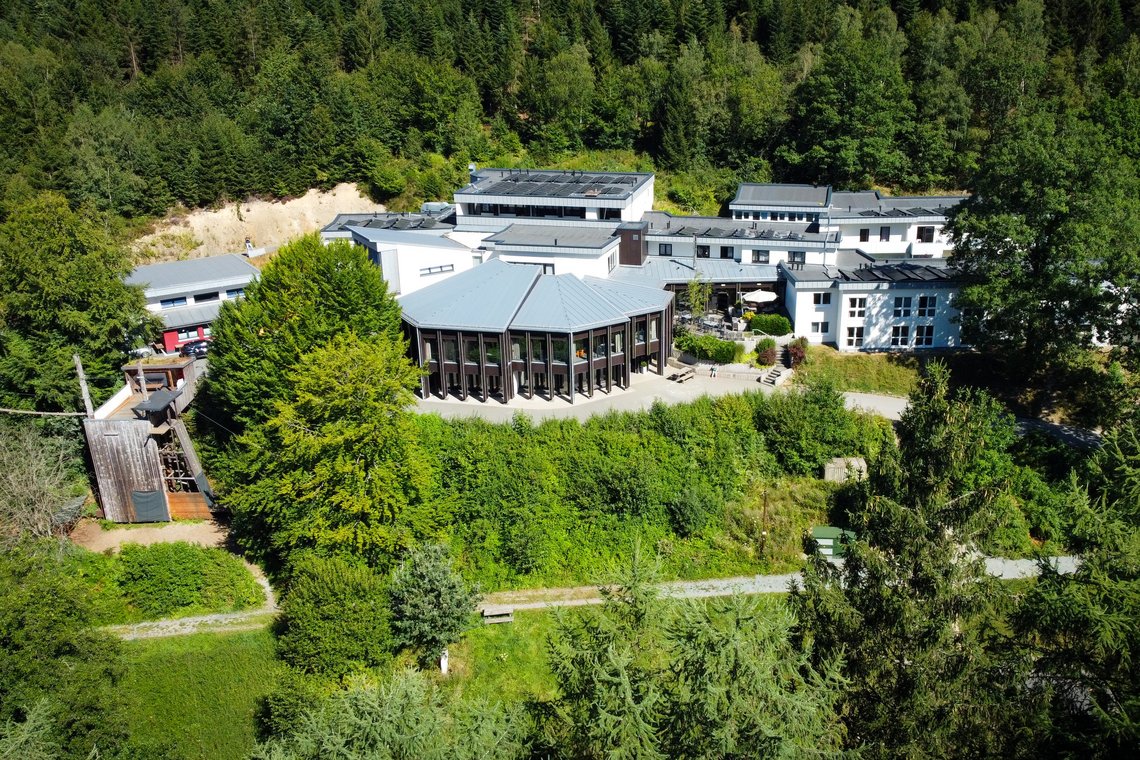 Dach_MCH-13